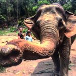 Profile Picture of Heather Leahy Hecht (@heatherleahyhecht) on Instagram