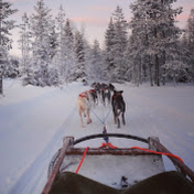 Profile Picture of Sandra Knight (@sandraknight1993) on Youtube