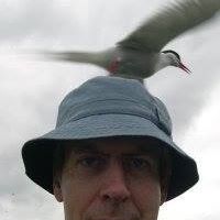 Profile Picture of Michael Jeffries (@michael.jeffries.3388) on Facebook