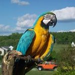 Profile Picture of Donna Dorris Inman (@inman.donna) on Instagram