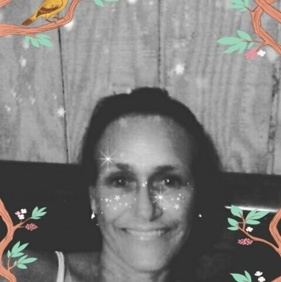 Lori Pesavento - Poshmark Profile Picture of Lori Pesavento (@loriannp68) on Poshmark