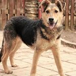 Profile Picture of Gabriella Murray (@g.murraybf) on Instagram