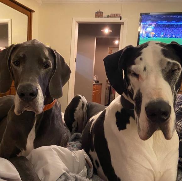 Profile Picture of Karen Lautzenheiser (@morganjae) on Poshmark