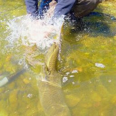 Profile Picture of Dan Frasier (@DCFras) on Twitter