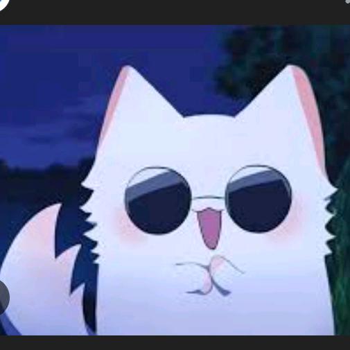 Profile Picture of Federico Sinfield362 (@federicosinfield3) on Tiktok