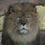 Profile Picture of Patrick Morris (@atley p north) on Flickr