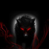 Profile Picture of darkultamawolf7816 (@darkultamawolf7816) on Tiktok