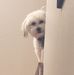 Profile Picture of Kathy Sparkman (@kathy.sparkman.5074) on Facebook