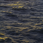 Profile Picture of Daniel Arias (@imkobra) on Flickr