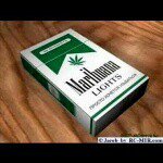 Profile Picture of Manuel Bustamante Canabal (@manuel.bustamantecanabal) on Instagram