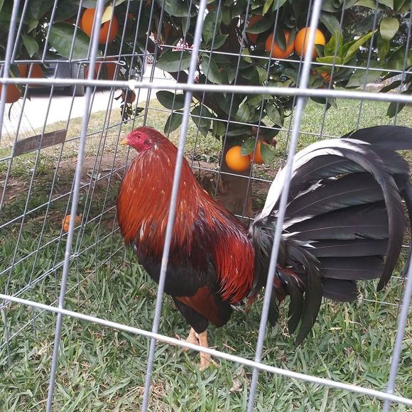 Profile Picture of David Mendoza (@davidmendoza262) on Poshmark