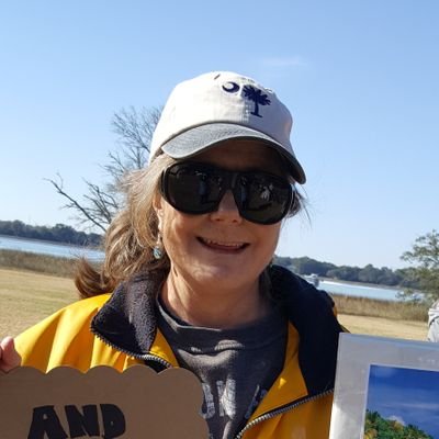 Profile Picture of Lori Bolduc (@Hippylori) on Twitter