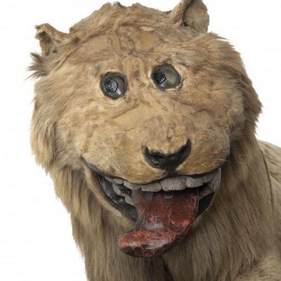 Profile Picture of Colin Meade (@ColinMeade) on Twitter