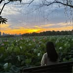 Profile Picture of Stella He (@stella.he.523812) on Facebook