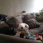 Profile Picture of Darren Cliffe (@darren.cliffe.353) on Instagram