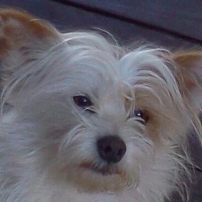 Profile Picture of Jamie Argueta (@Gamedroid111) on Twitter