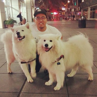 Profile Picture of Christopher Yao (@gyaoza) on Twitter
