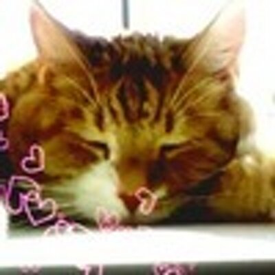 Profile Picture of Lilian Tate (@tate_lilian) on Twitter