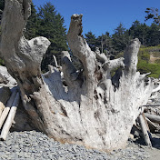 Profile Picture of Michael Devine (@michaeldevine1s) on Youtube