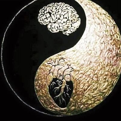 Profile Picture of Byron Rodriguez (@ReyByron502) on Twitter