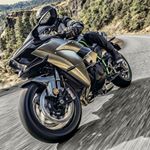 Profile Picture of Mark Brocato (@brocthedoc) on Instagram