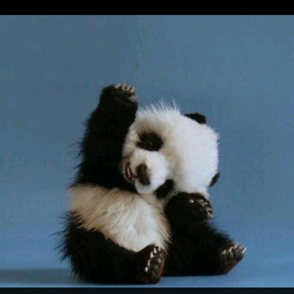 Profile Picture of Michael Olivares (@hiendtrends) on Poshmark