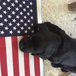 Profile Picture of Cody Steiner (@cody.steiner.18) on Instagram