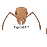 Steve Budd - Twitter Profile Picture of Steve Budd (@Tellemstevebudd) on Twitter