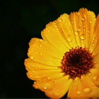 Profile Picture of Ketun Patel (@ketun-patel-4) on Quora