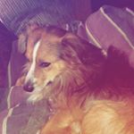 Profile Picture of Travis Milam (@travnguns_same_person_) on Instagram