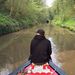 Profile Picture of Joe Miles (@joemiles33) on Pinterest