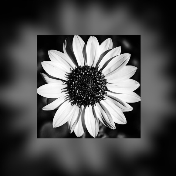 Profile Picture of Molly Stetzer (@mstetzer18) on Poshmark