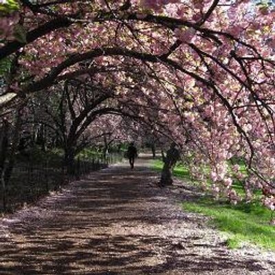 Profile Picture of Sari Luck Schneider (@Sarijune) on Twitter