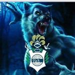 Profile Picture of Alberto Agustin Bayer (@albertoagustinbayer) on Instagram