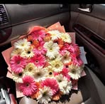 Profile Picture of Yessi Lara (@Yessi-Lara) on Facebook