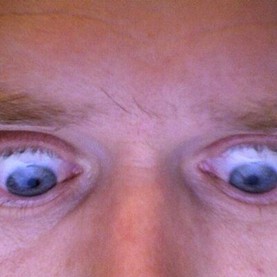 Profile Picture of Laurence Schuberth (@newmediaguy) on Twitter