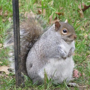 Profile Picture of Dani Levy (@meandyou92209) on Youtube