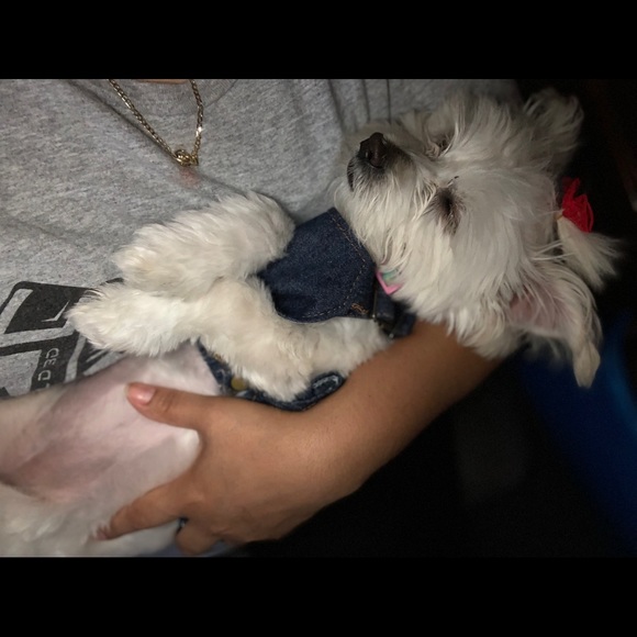 Profile Picture of Ivonne Alvarez (@alvarez126) on Poshmark