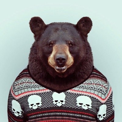 Profile Picture of  🌲 (@Joe__Kush) on Twitter
