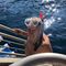 Profile Picture of Bruce Nutt (@bruce.nutt.792) on Facebook