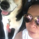 Profile Picture of Karen Colson Kelly (@im_a_nursemom) on Instagram