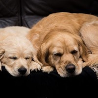 Profile Picture of Jess Probst (@jess-probst-1) on Quora