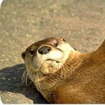 Profile Picture of Ben Mogren (@mogrenben) on Instagram