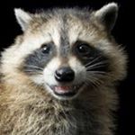 Profile Picture of Tyler (@tyler.burdick25) on Instagram