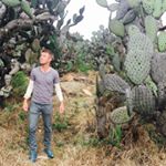 Profile Picture of Kevin Carlucci (@carluccikev) on Instagram