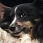 Profile Picture of Mitchell-Antoine Gonzalez (@supertendre) on Instagram