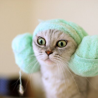 Profile Picture of Suyong (@SuYong717) on Twitter