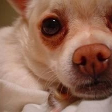 Profile Picture of Crystal Remington (@284275291) on Myspace