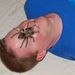 Profile Picture of Jason Gillard (@evilpenguinj) on Pinterest