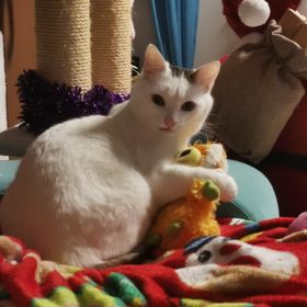 Profile Picture of mayra torres alvarez (@mayratorresalva) on Pinterest